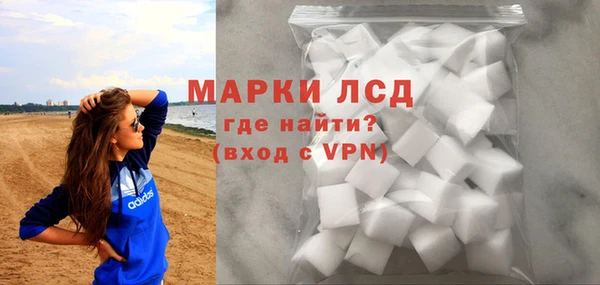 a pvp Тайга